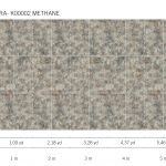 K00002 METHANE